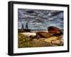 Nature 20-Brian Stevenson-Framed Photographic Print