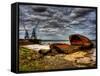 Nature 20-Brian Stevenson-Framed Stretched Canvas