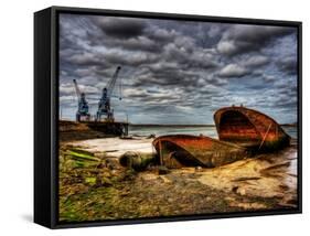 Nature 20-Brian Stevenson-Framed Stretched Canvas