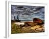 Nature 20-Brian Stevenson-Framed Photographic Print