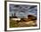 Nature 20-Brian Stevenson-Framed Photographic Print