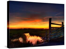 Nature 22-Brian Stevenson-Stretched Canvas