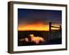 Nature 22-Brian Stevenson-Framed Photographic Print