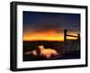 Nature 22-Brian Stevenson-Framed Photographic Print