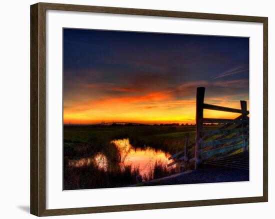 Nature 22-Brian Stevenson-Framed Photographic Print