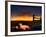 Nature 22-Brian Stevenson-Framed Photographic Print