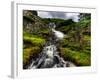 Nature 27-Brian Stevenson-Framed Photographic Print