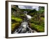 Nature 27-Brian Stevenson-Framed Photographic Print