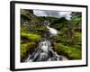 Nature 27-Brian Stevenson-Framed Photographic Print