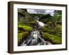 Nature 27-Brian Stevenson-Framed Photographic Print