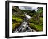 Nature 27-Brian Stevenson-Framed Photographic Print