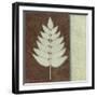 Nature 3-Kristin Emery-Framed Art Print