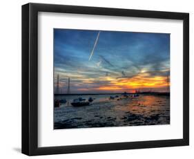 Nature 4-Brian Stevenson-Framed Photographic Print