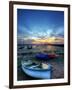 Nature 5-Brian Stevenson-Framed Photographic Print