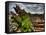 Nature 6-Brian Stevenson-Framed Stretched Canvas