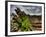 Nature 6-Brian Stevenson-Framed Photographic Print