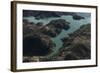 Nature, Andalusia, Lake Zahara, Zahara, Lakeside-Frank Fleischmann-Framed Photographic Print