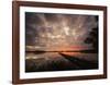 Nature Art Color IX-Uwe Steger-Framed Art Print