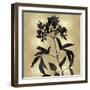 Nature Black on Gold V-Danielle Carson-Framed Art Print