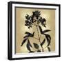 Nature Black on Gold V-Danielle Carson-Framed Art Print