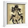 Nature Black on Gold V-Danielle Carson-Framed Art Print