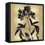 Nature Black on Gold V-Danielle Carson-Framed Stretched Canvas