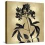 Nature Black on Gold V-Danielle Carson-Stretched Canvas