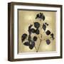 Nature Black on Gold VI-Danielle Carson-Framed Art Print