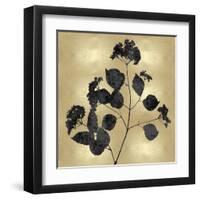 Nature Black on Gold VI-Danielle Carson-Framed Art Print