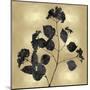 Nature Black on Gold VI-Danielle Carson-Mounted Art Print