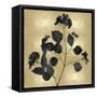 Nature Black on Gold VI-Danielle Carson-Framed Stretched Canvas