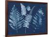 Nature By The Lake - Ferns I-Piper Rhue-Framed Art Print