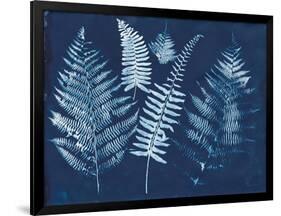 Nature By The Lake - Ferns I-Piper Rhue-Framed Art Print