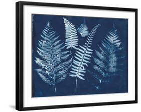 Nature By The Lake - Ferns I-Piper Rhue-Framed Art Print