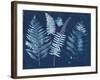 Nature By The Lake - Ferns I-Piper Rhue-Framed Art Print