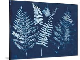 Nature By The Lake - Ferns I-Piper Rhue-Stretched Canvas