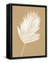 Nature by the Lake Ferns III Brown-Piper Rhue-Framed Stretched Canvas