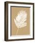 Nature by the Lake Ferns III Brown-Piper Rhue-Framed Art Print