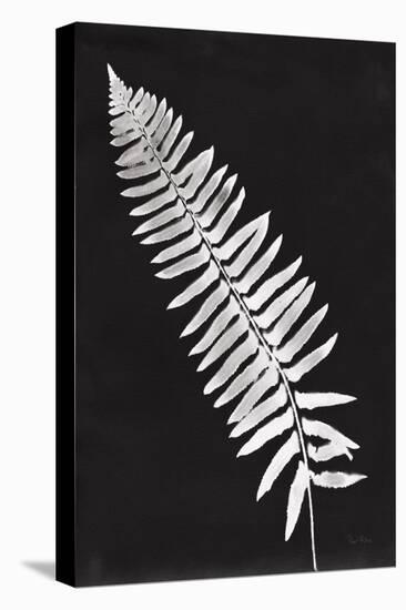Nature by the Lake Ferns IV Black-Piper Rhue-Stretched Canvas