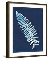 Nature By The Lake - Ferns IV-Piper Rhue-Framed Art Print