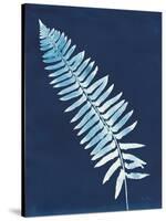 Nature By The Lake - Ferns IV-Piper Rhue-Stretched Canvas