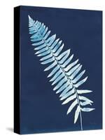 Nature By The Lake - Ferns IV-Piper Rhue-Stretched Canvas