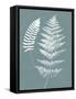 Nature by the Lake Ferns V Gray Mist Crop-Piper Rhue-Framed Stretched Canvas