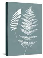 Nature by the Lake Ferns V Gray Mist Crop-Piper Rhue-Stretched Canvas