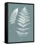 Nature by the Lake Ferns V Gray Mist Crop-Piper Rhue-Framed Stretched Canvas