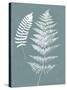 Nature by the Lake Ferns V Gray Mist Crop-Piper Rhue-Stretched Canvas