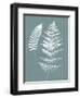 Nature by the Lake Ferns V Gray Mist Crop-Piper Rhue-Framed Art Print