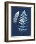 Nature By The Lake - Ferns V-Piper Rhue-Framed Art Print