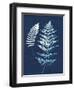 Nature By The Lake - Ferns V-Piper Rhue-Framed Art Print