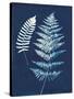 Nature By The Lake - Ferns V-Piper Rhue-Stretched Canvas